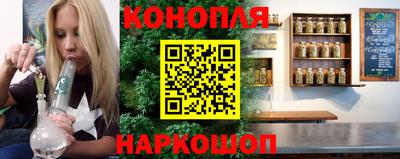 стаф Бийск