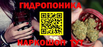 стаф Бийск