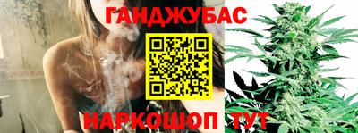 стаф Бийск
