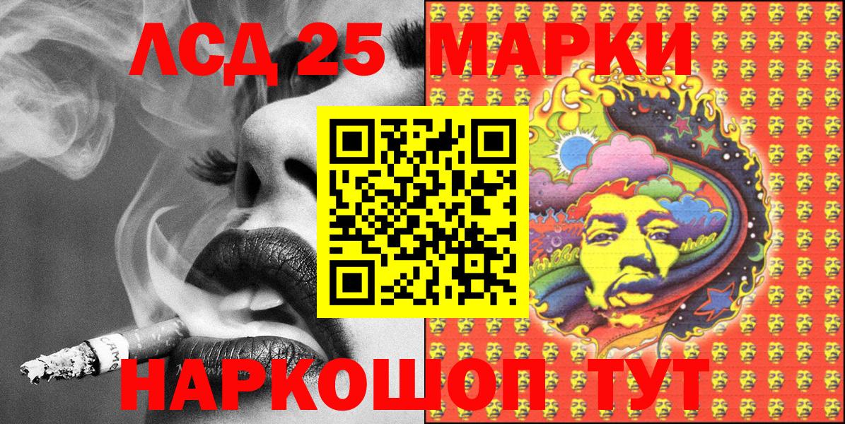 Псилоцибиновые грибы Гуково