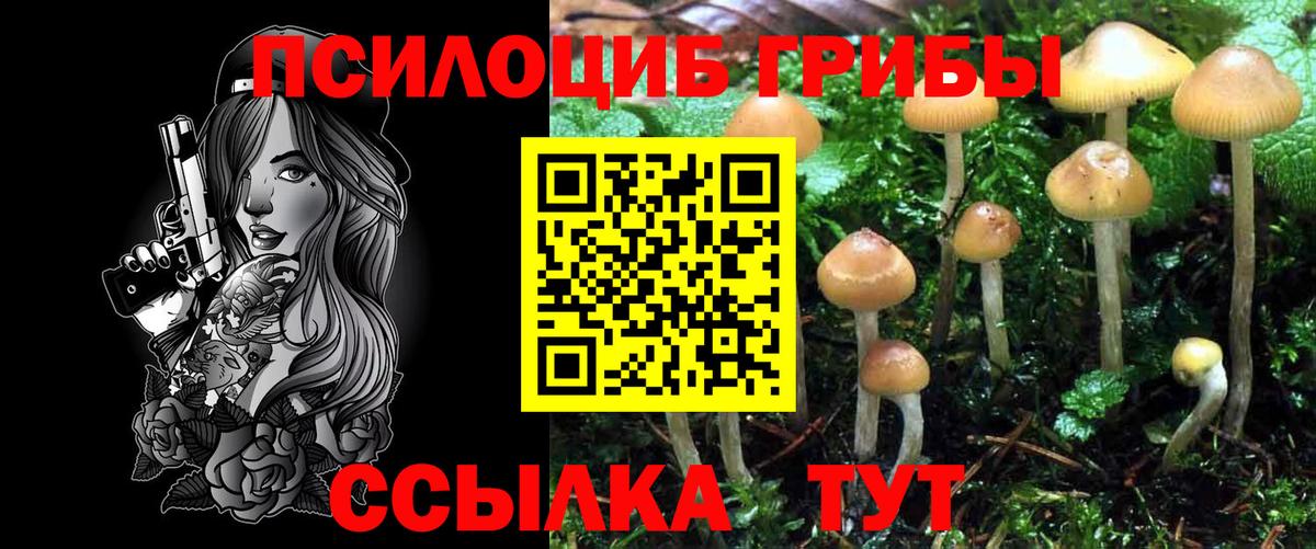 Гуково  Псилоцибиновые грибы Magic Shrooms  наркошоп  Вход с VPN 
